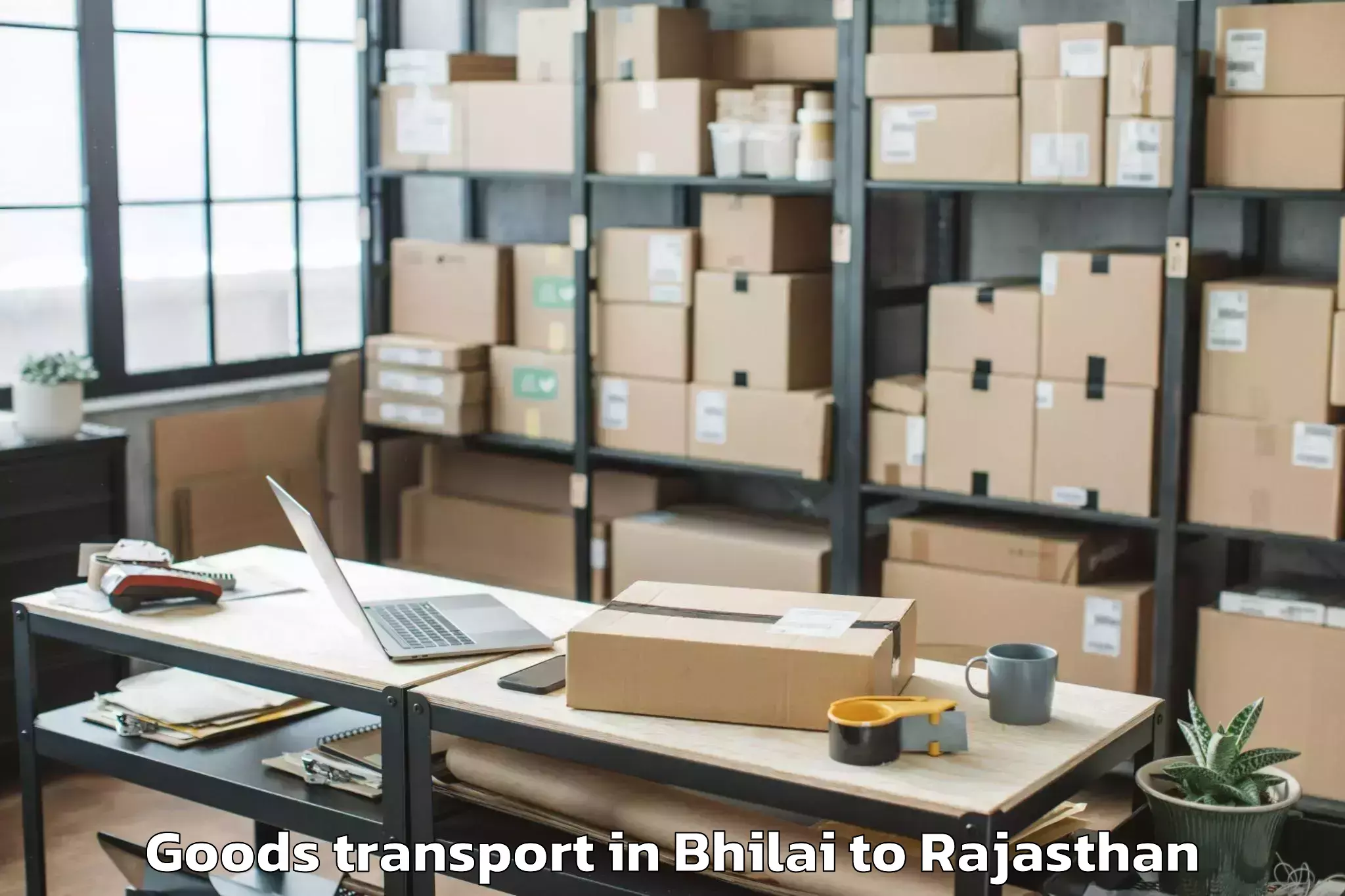 Hassle-Free Bhilai to Dhariawad Goods Transport